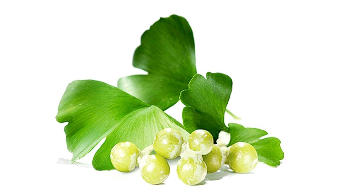 OstyHealth'de Ginkgo Bilobe